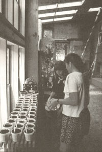 Catherine Wanek and June Thompson of Kingston, New Mexico, check their herb garden.